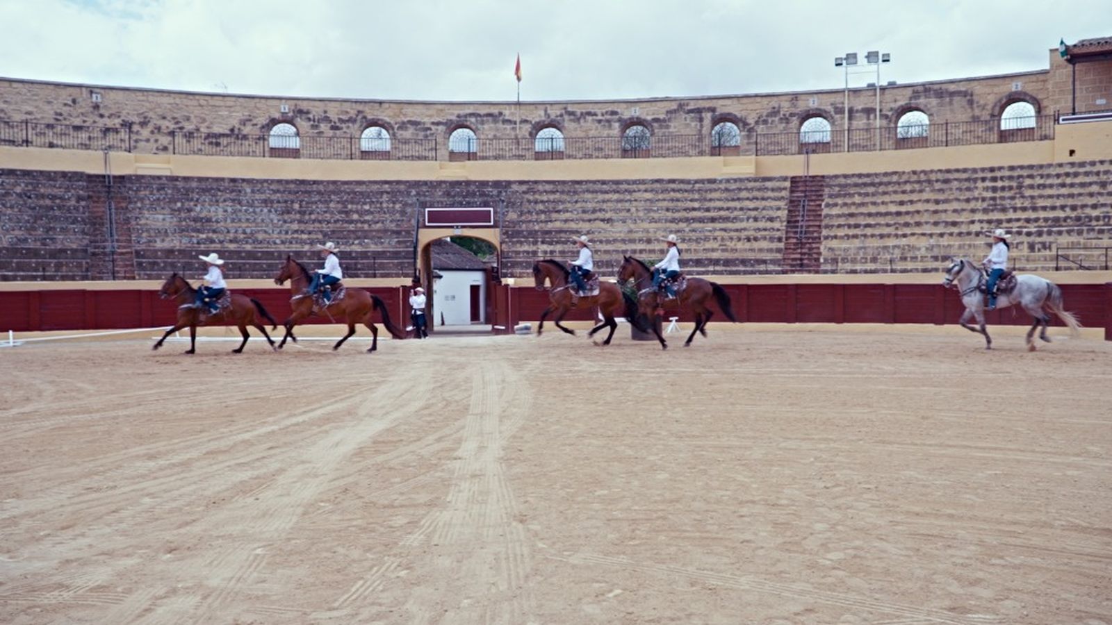 Todocaballo 2