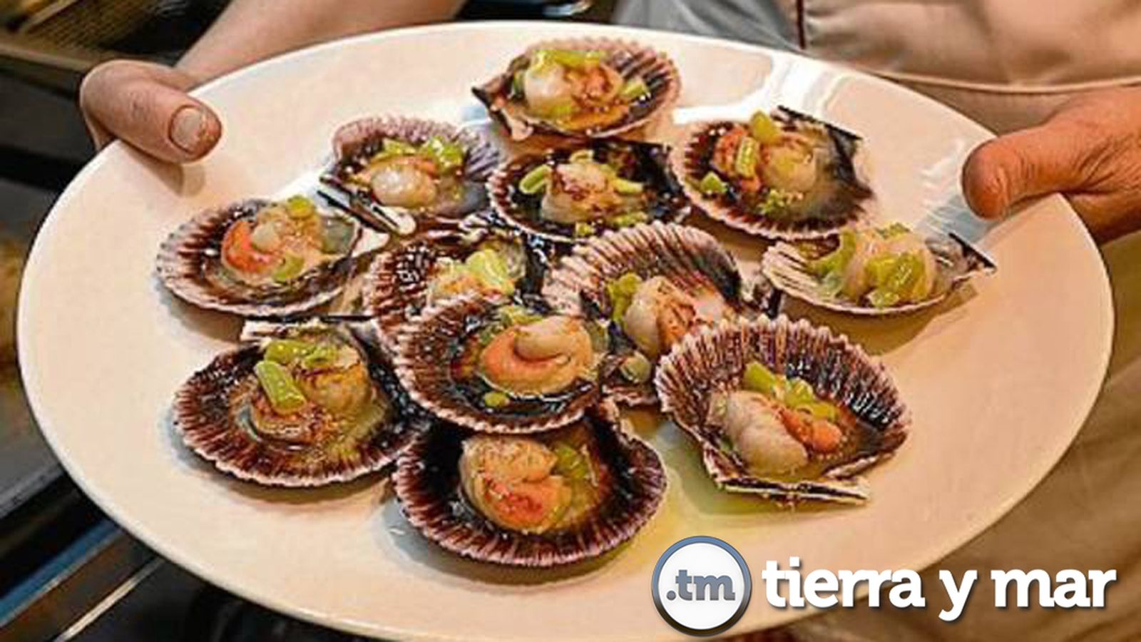 Tierra y Mar Comunicación