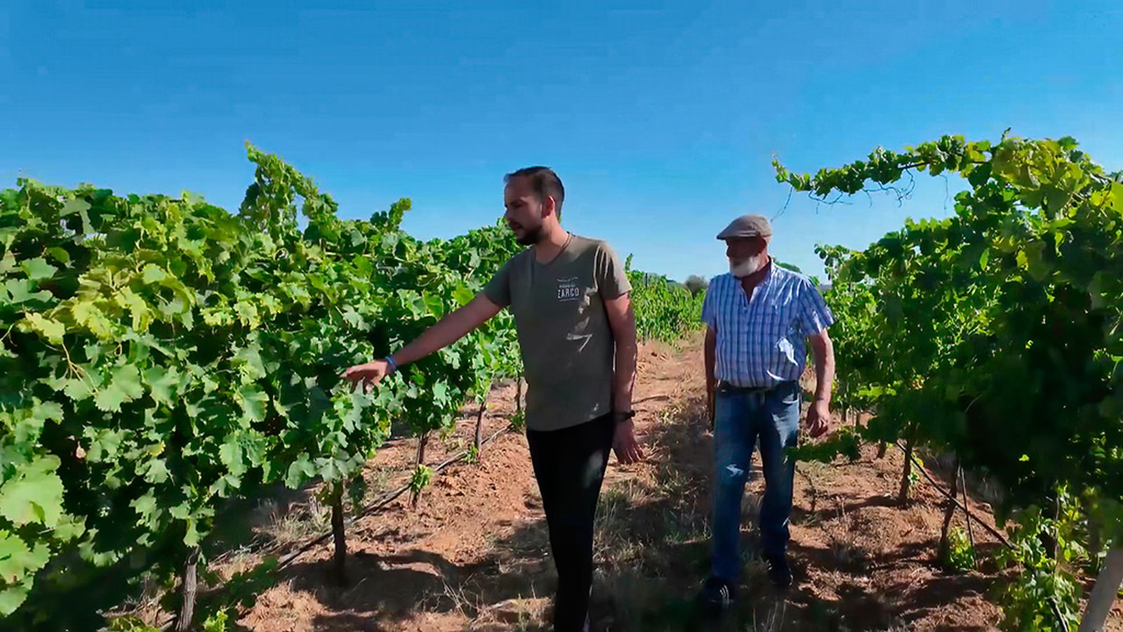 Un sueño bodeguero que integra agricultura y ganadería