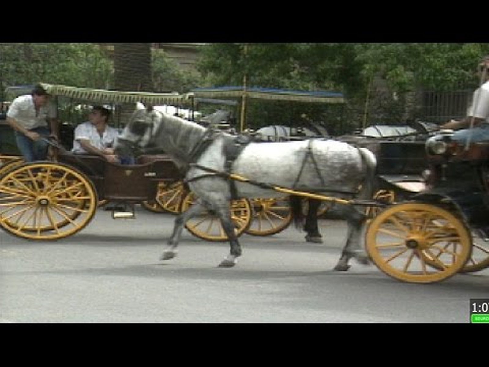 La peste equina y los cocheros de Sevilla (1989)