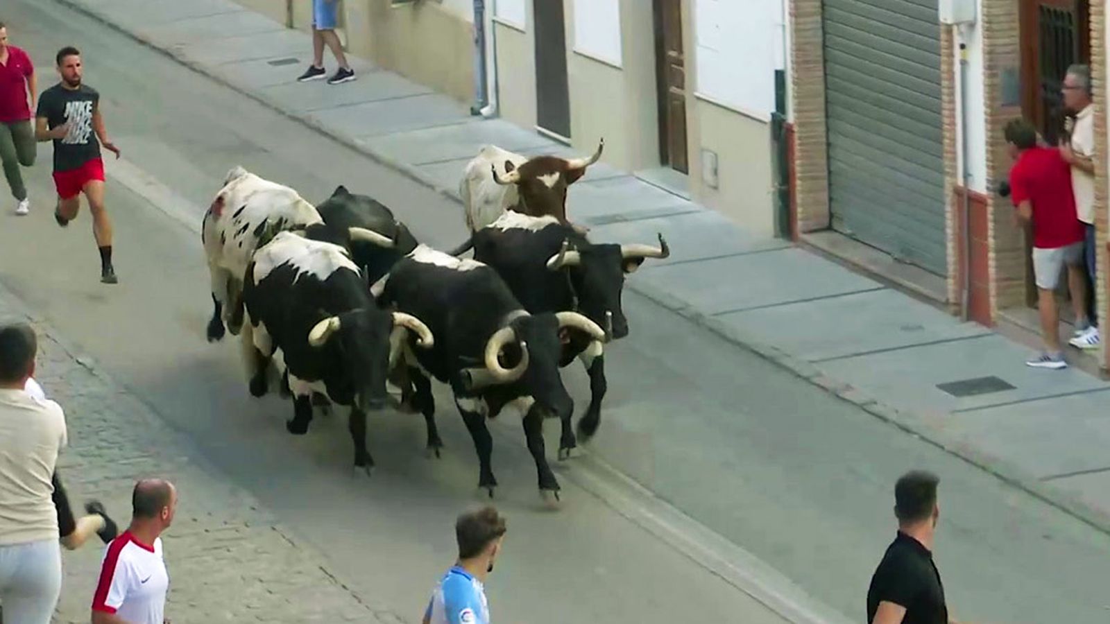 Andalucía de Fiesta 1024x576 encierro
