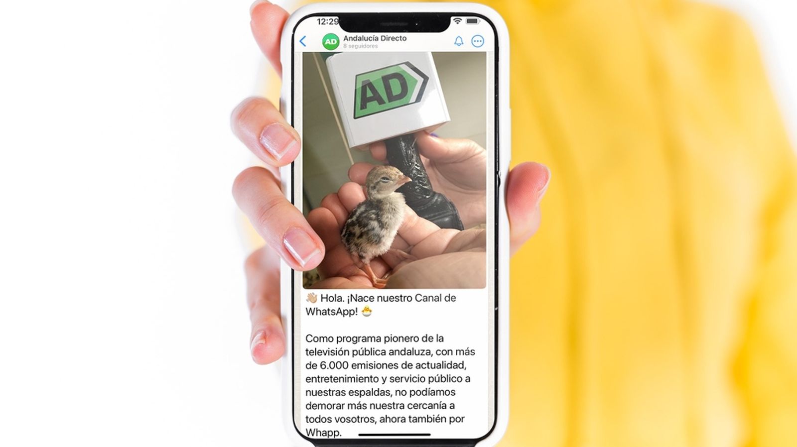 Andalucía Directo 2