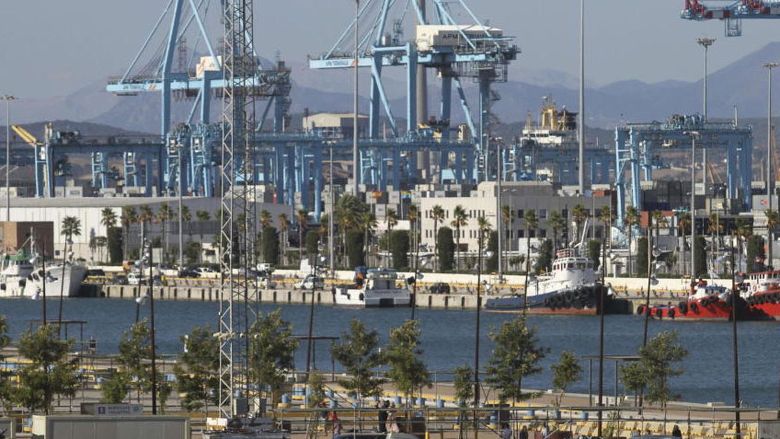 algeciras