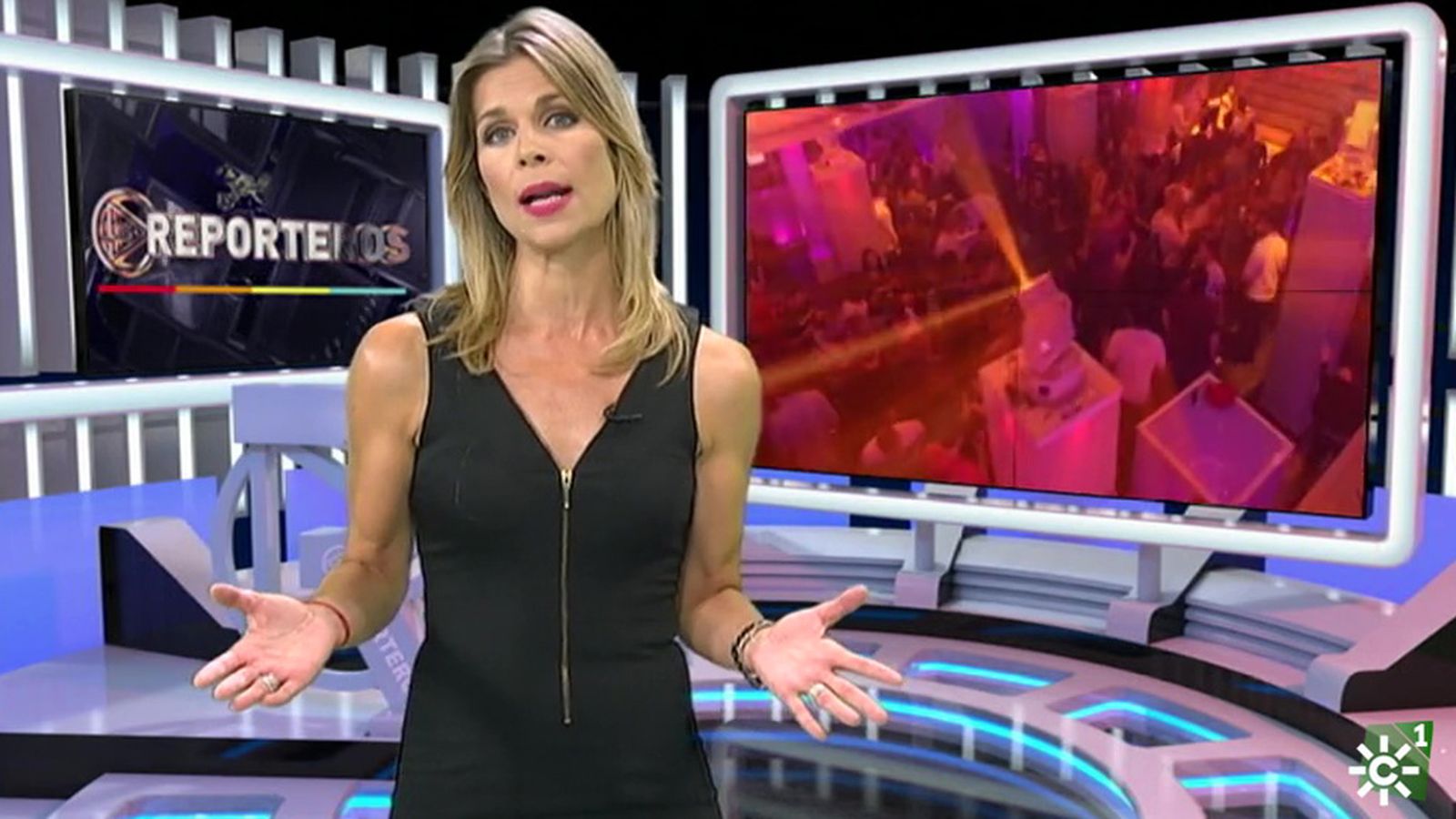 reporteros