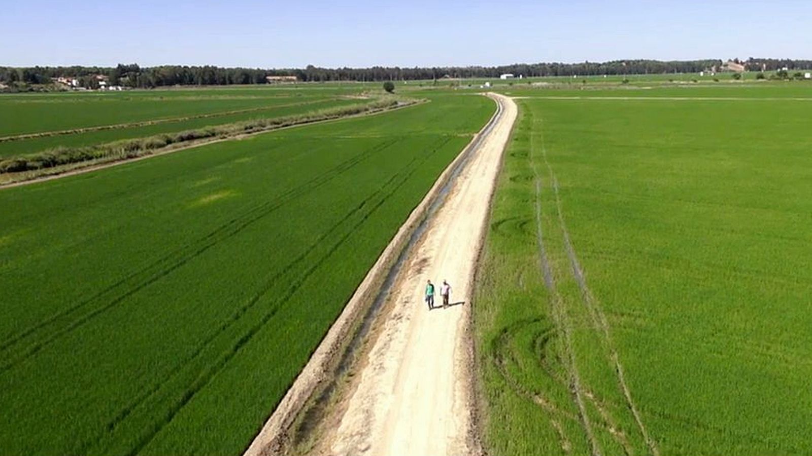 Documental Aznalcóllar verde sobre negro, 25 abril