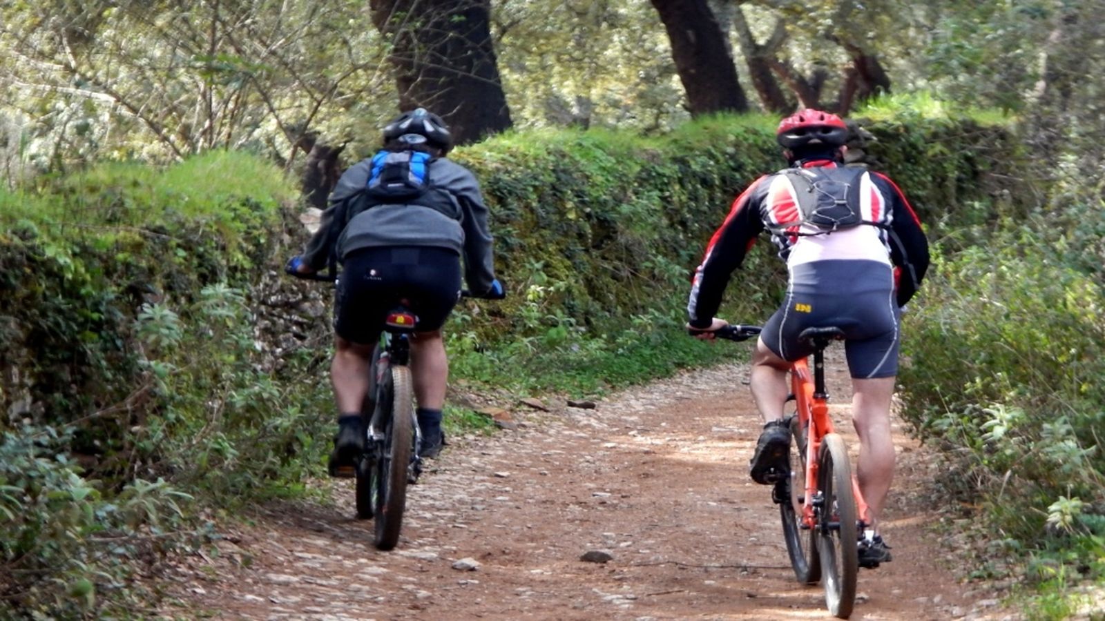 Andalucia es Naturaleza, 28 octubre