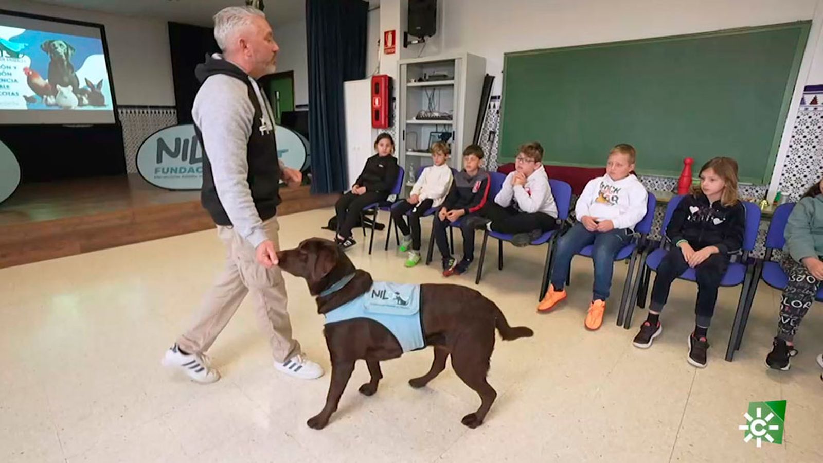 patas arriba taller perros cerdos 1 1024x576 perro negro