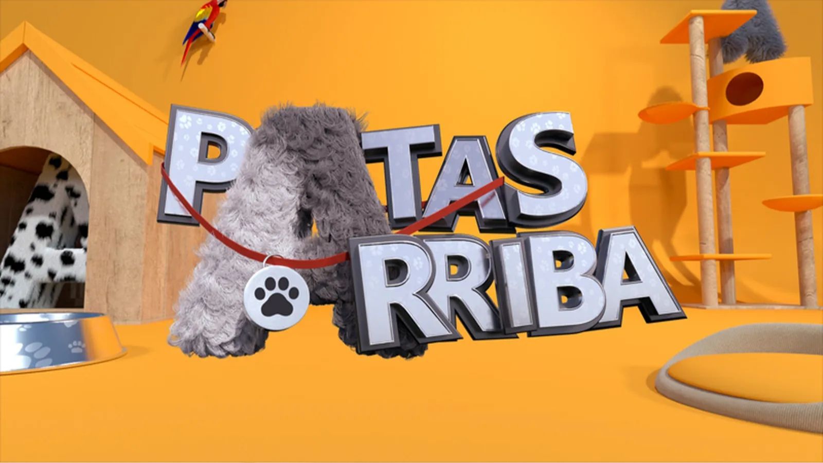 "Patas Arriba"