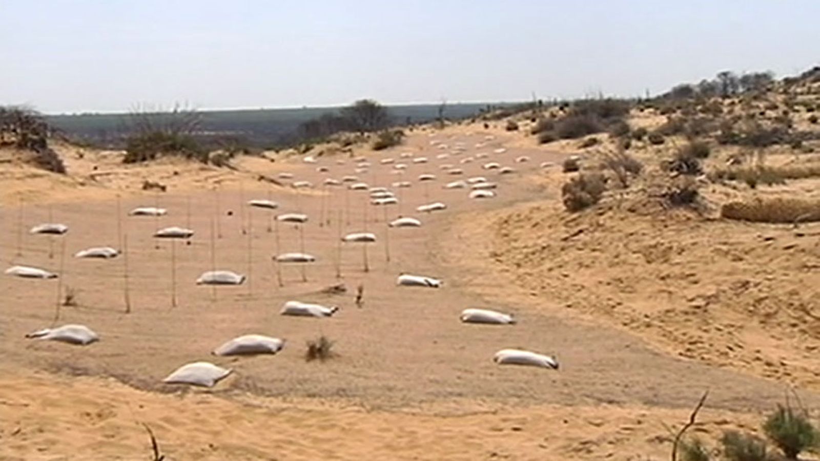 doñana