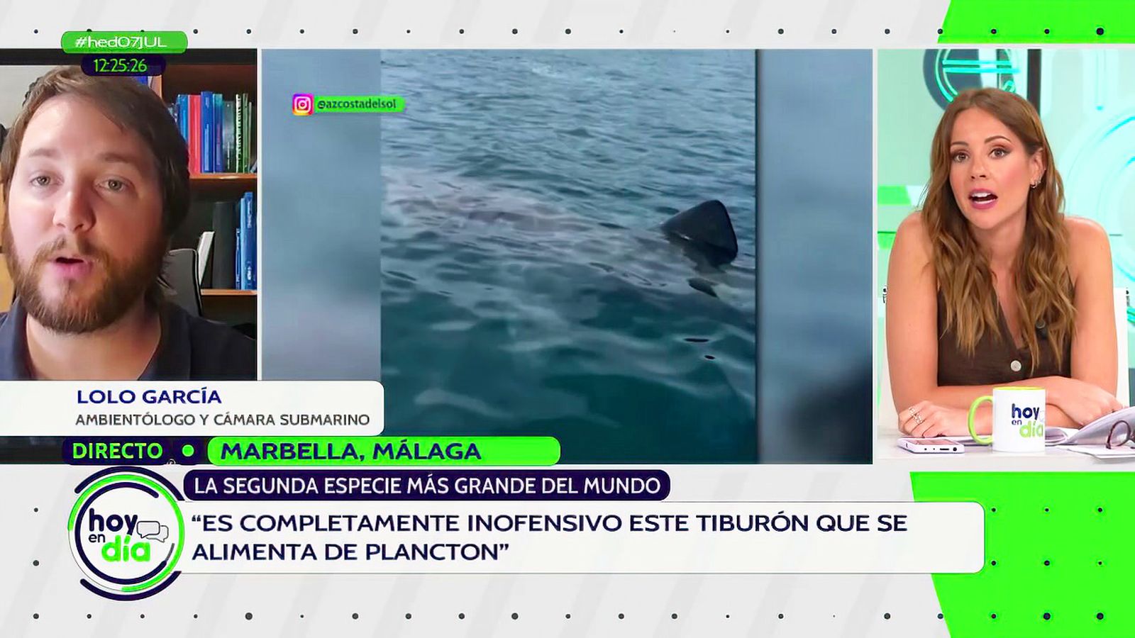 Avistan un tiburón peregrino frente a la costa de Marbella