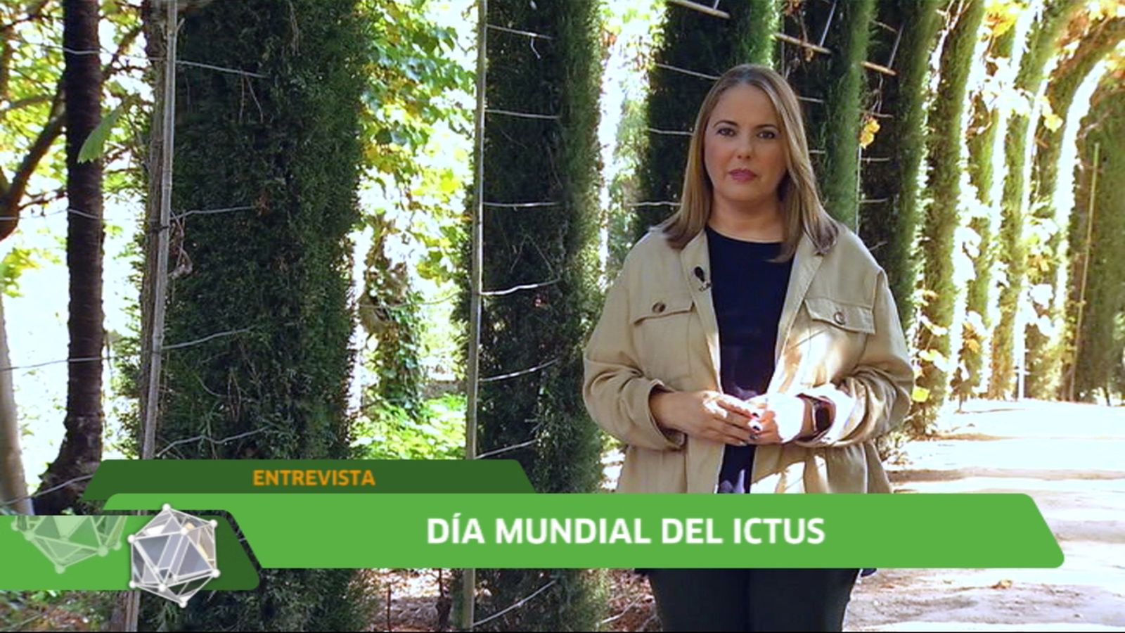 Fátima Ruiz Ictus