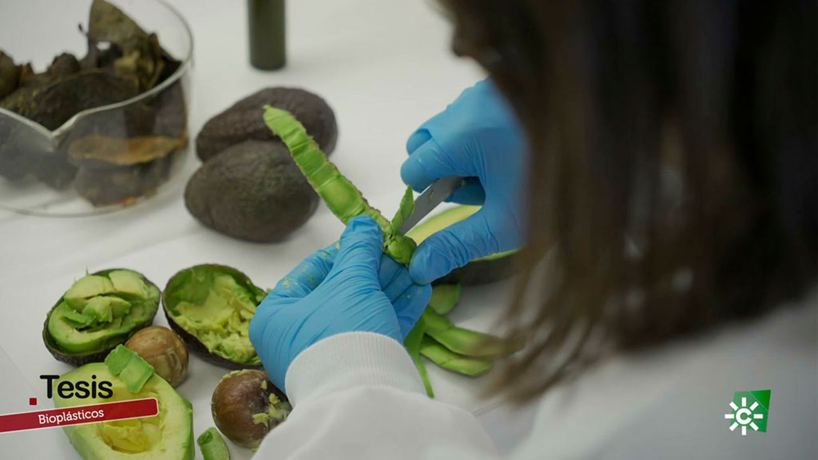 Bioplásticos, una alternativa de futuro