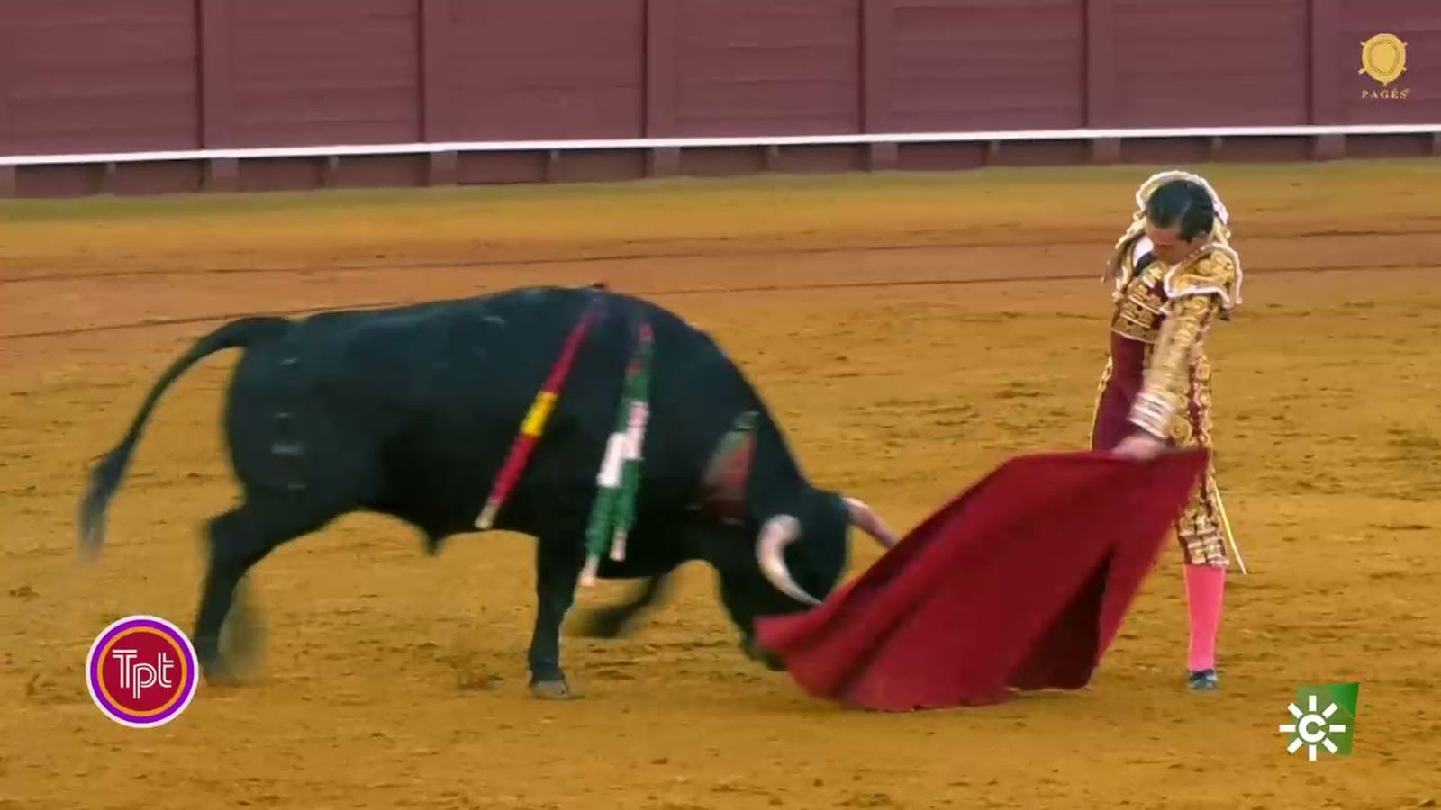Curro Durán y El Melli, triunfadores en las últimas novilladas de La Maestranza