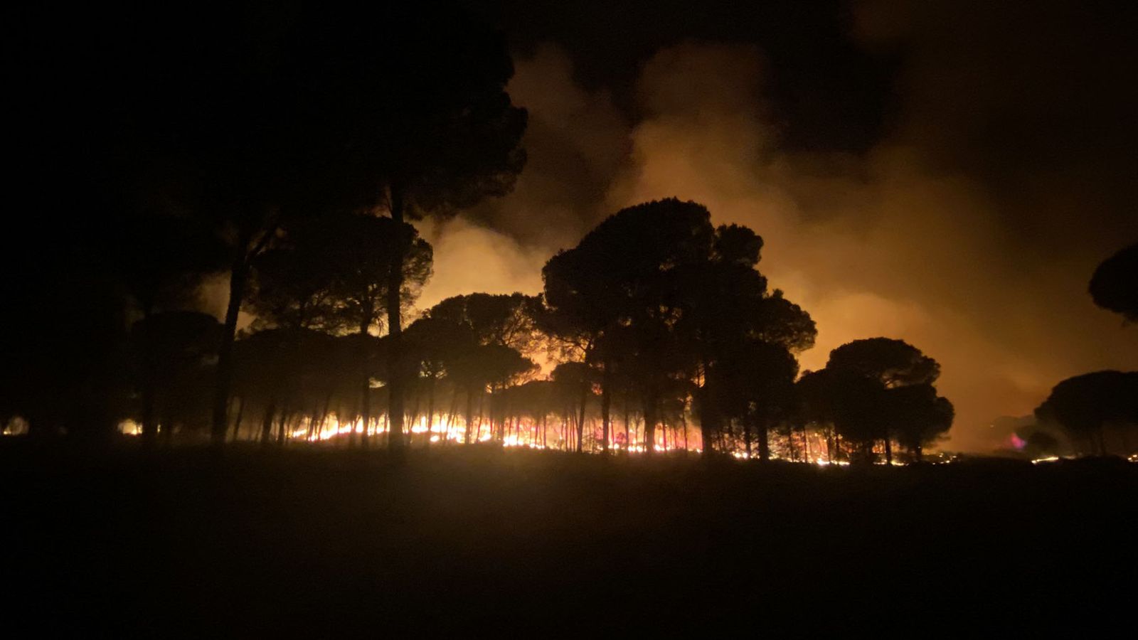 Incendio en Almonte