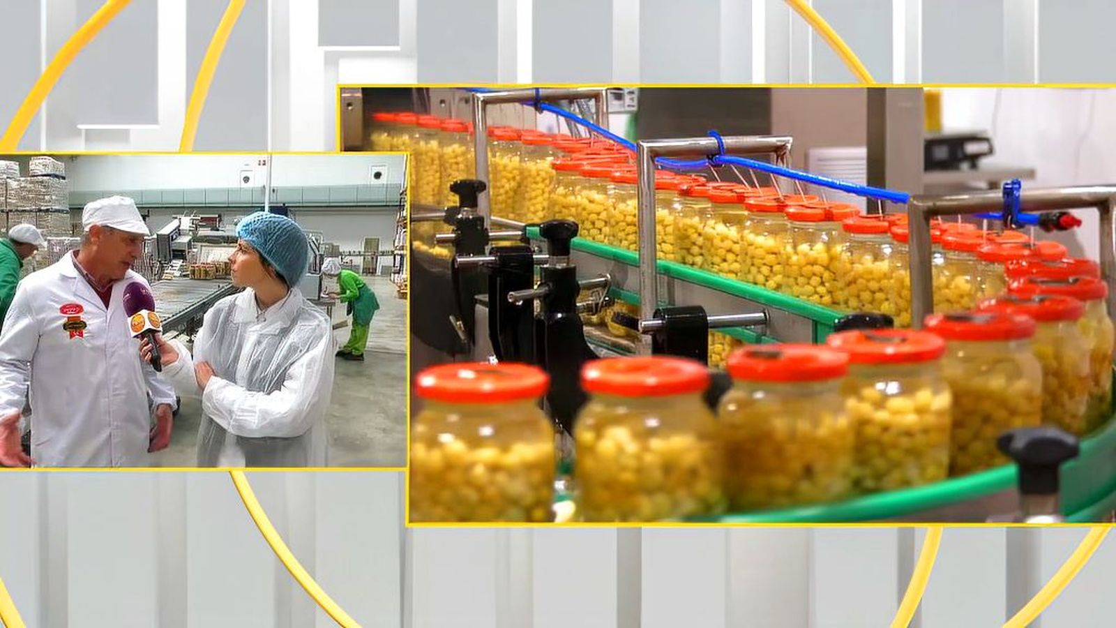 Una empresa familiar de Alcalá de los Gazules que mantiene viva la tradición del garbanzo andaluz