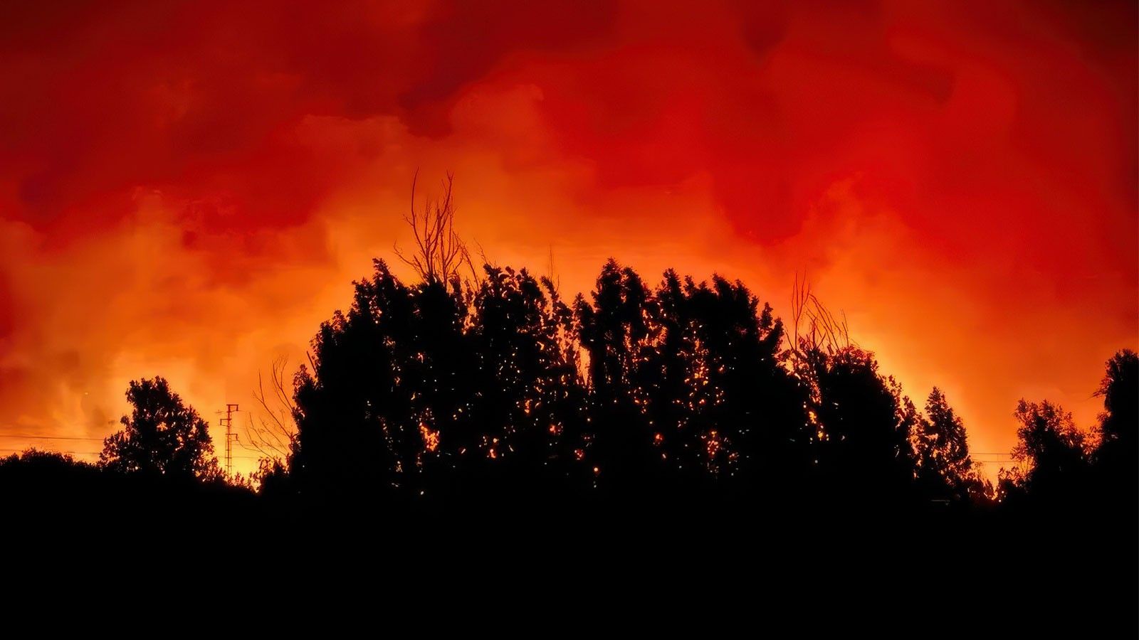 Antonio Sanz: 'El incendio de Villanueva de los Castillejos es muy complicado'