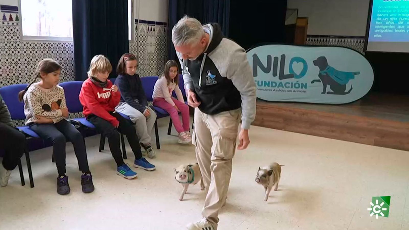 patas arriba taller perros cerdos 1 1024x576 cerditos