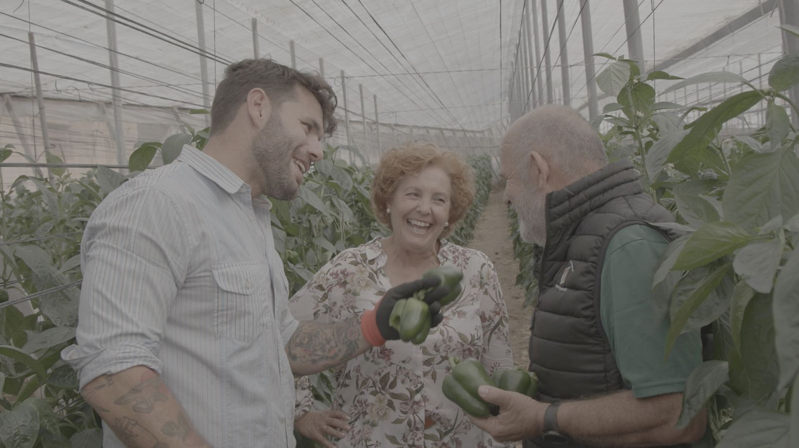 tierra de sabores canal sur