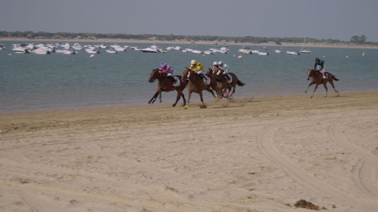 Todocaballo Carreras Sanlúcar de Barrameda 14 septiembre