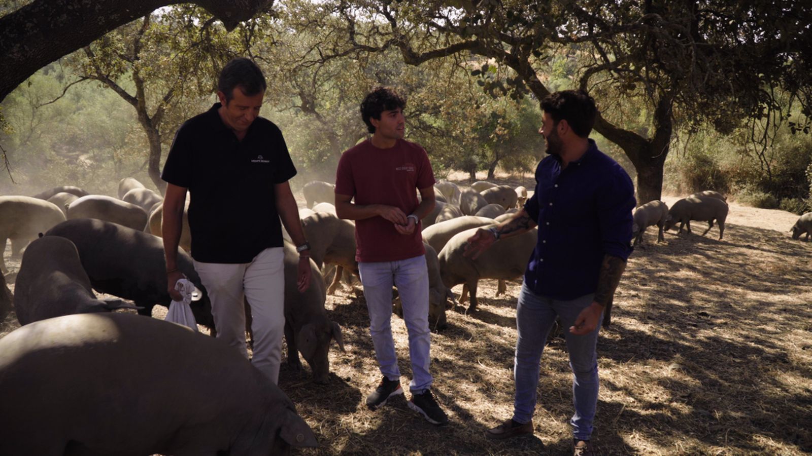 Tierra de sabores 2, 9 de noviembre
