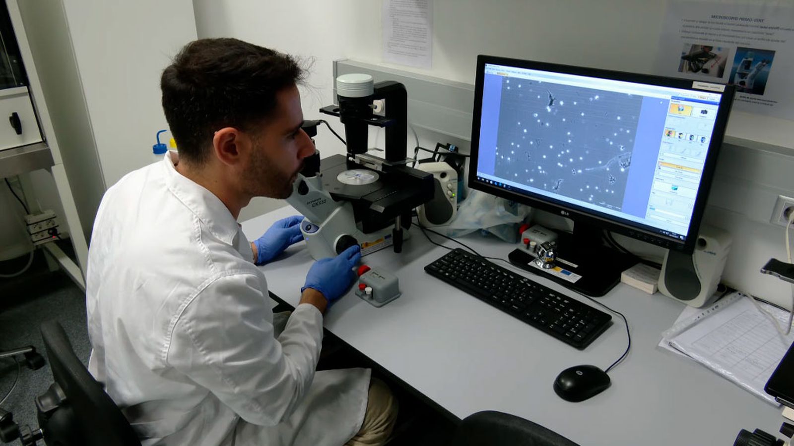 Un oncogen en el objetivo