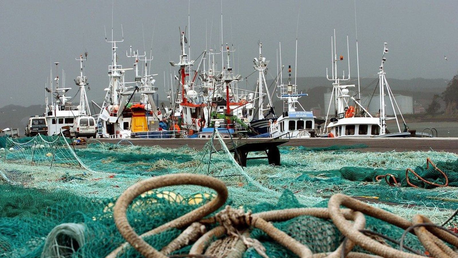 pesca tierra y mar