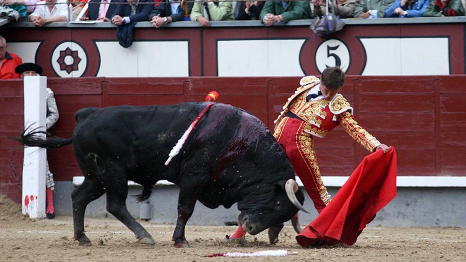 bd_toros - 05/07/2019 - 10:23:30