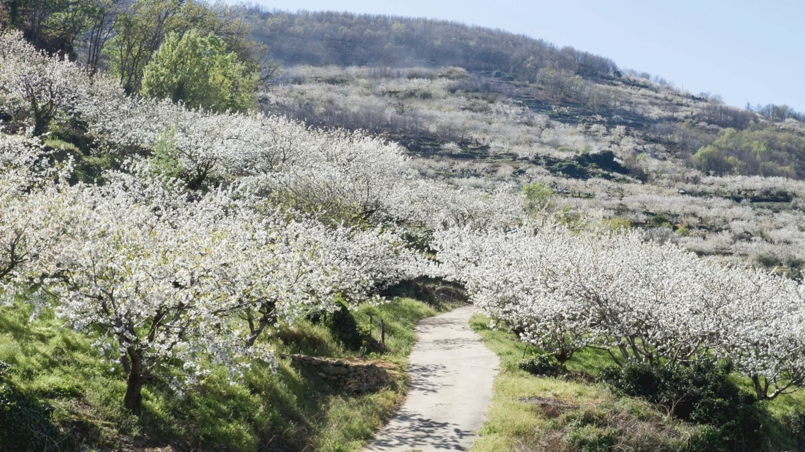 Andalucia es Naturaleza, 23 marzo