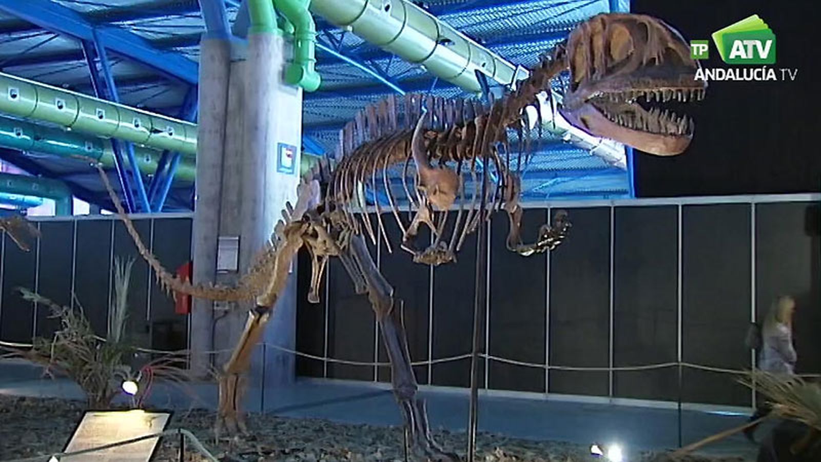 destacado dinosaurios