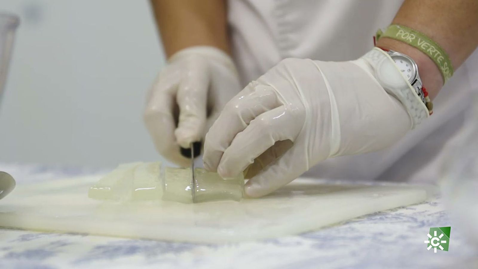 El aloe vera ha llegado a nuestra gastronomía para quedarse