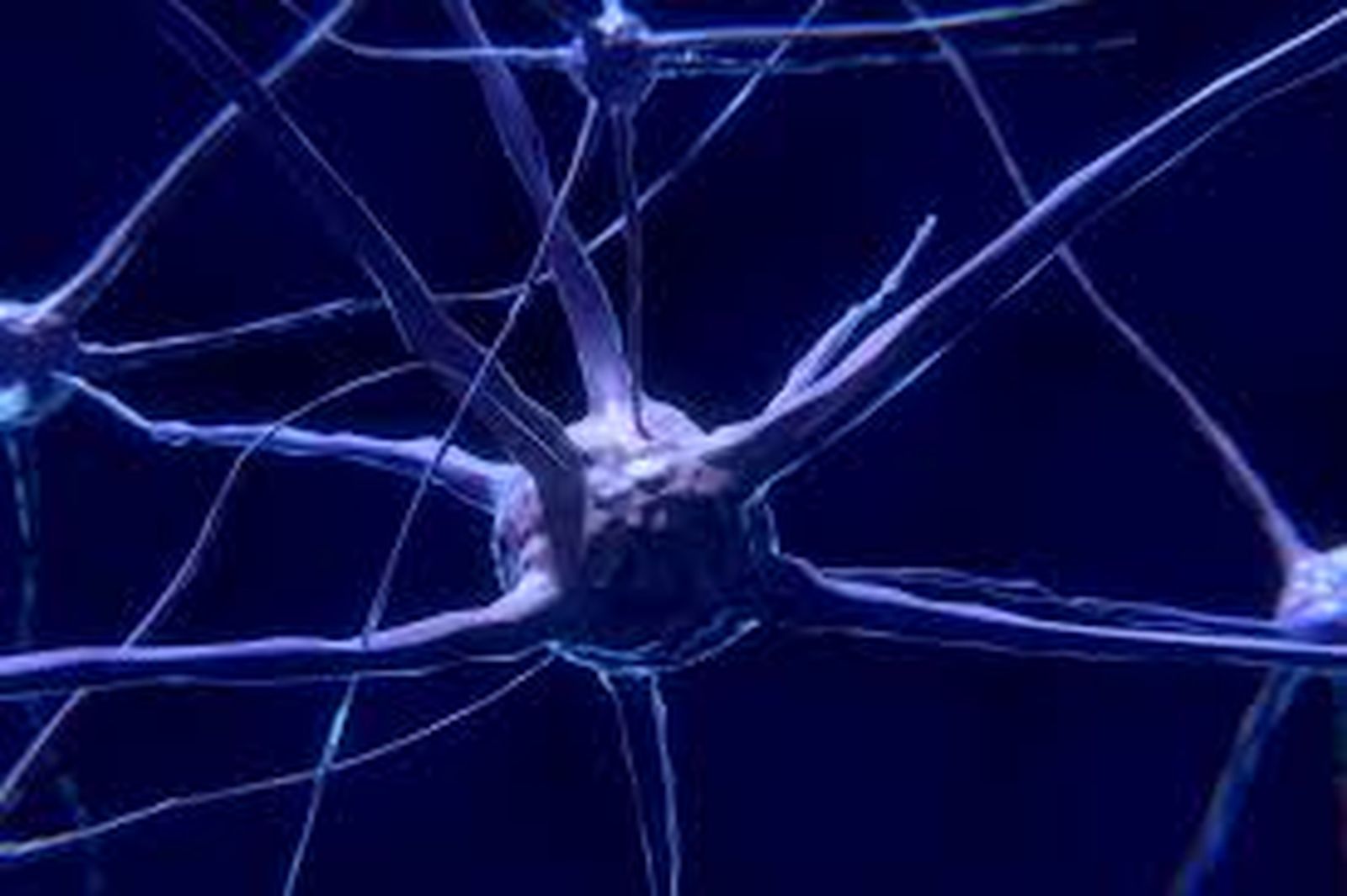neurona