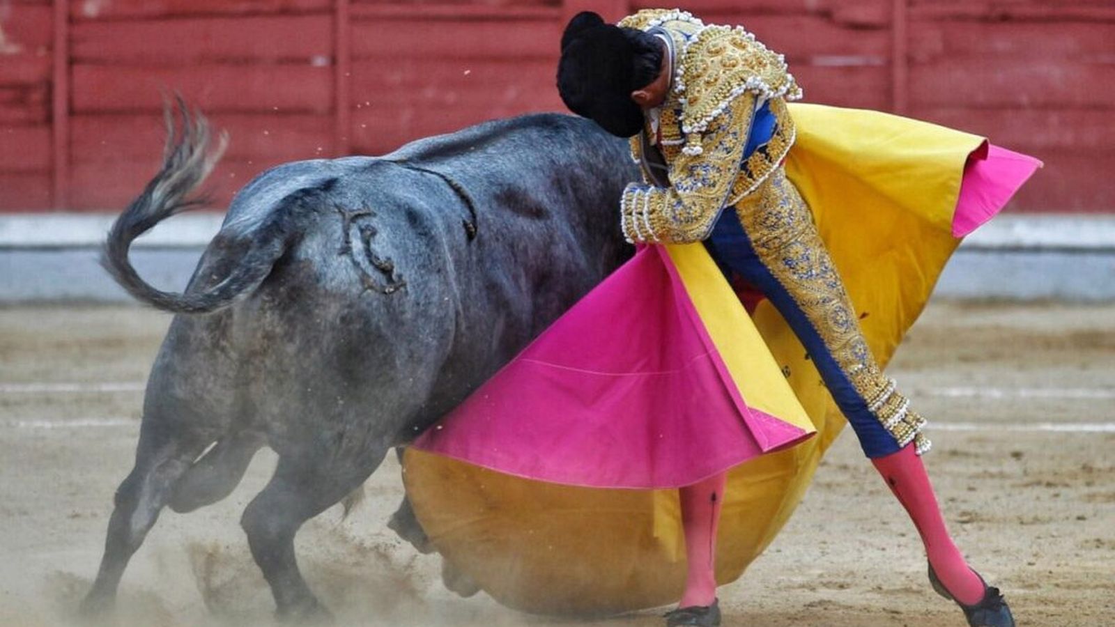 Toros novillada promo generica 6