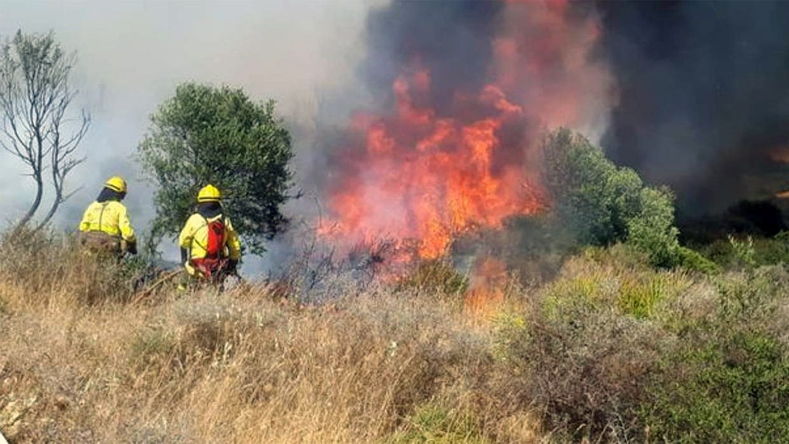 Casares incendio infoca