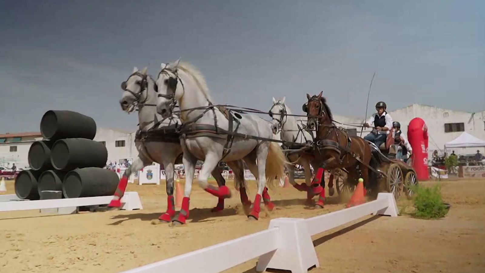 Campeonato de Andalucía de Enganches, un desafío técnico y mental