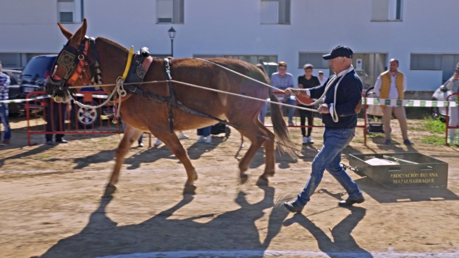 25_todo_caballo__tiro_piedra