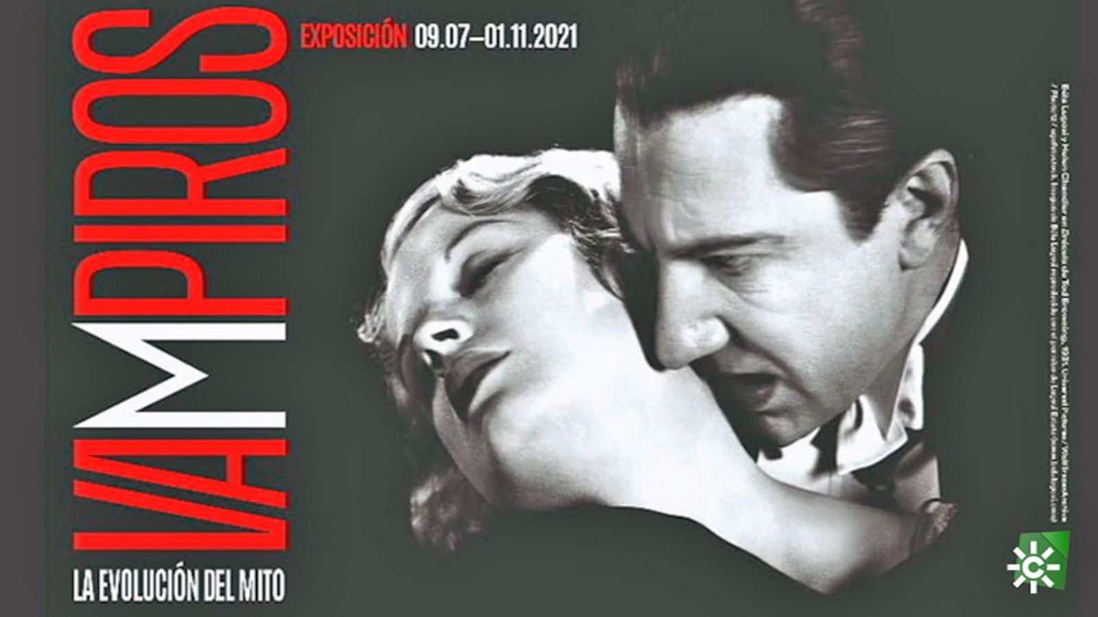 tapa cartel expo