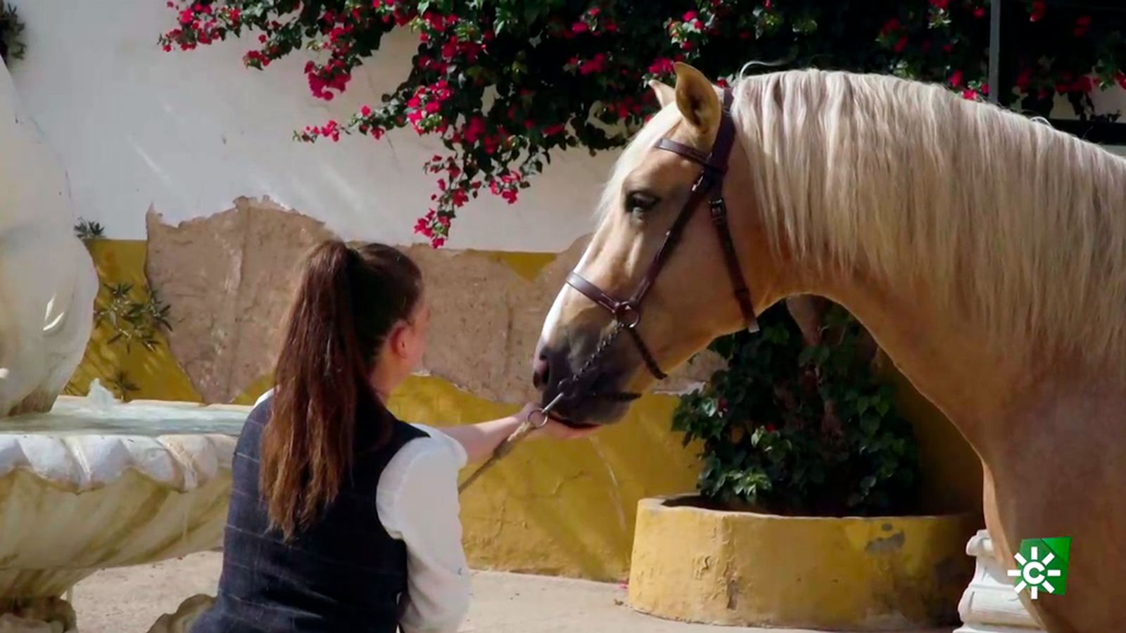 TodoCaballo Esmeralda Quintín Caballo 1024 px