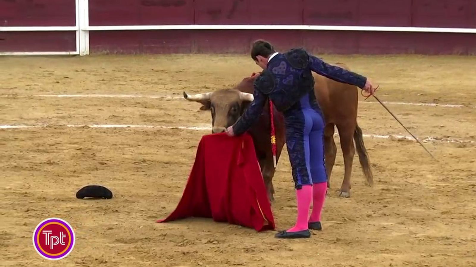El Circuito de Novilladas de Andalucía alcanza la fase de semifinales