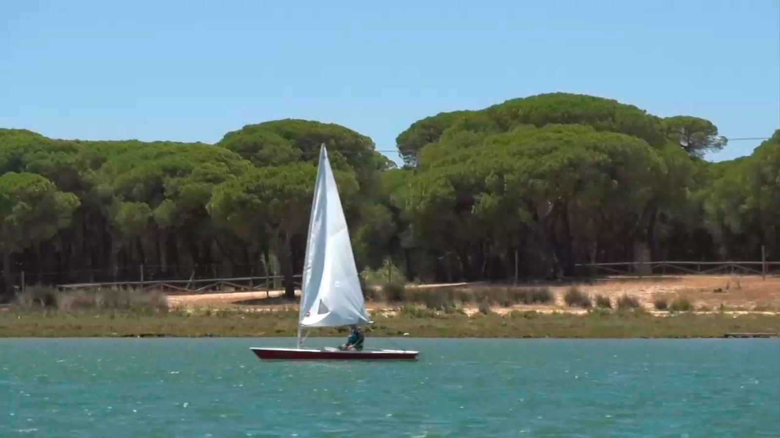 Pescaíto, deportes de playa y paseo en barco por Punta Umbría