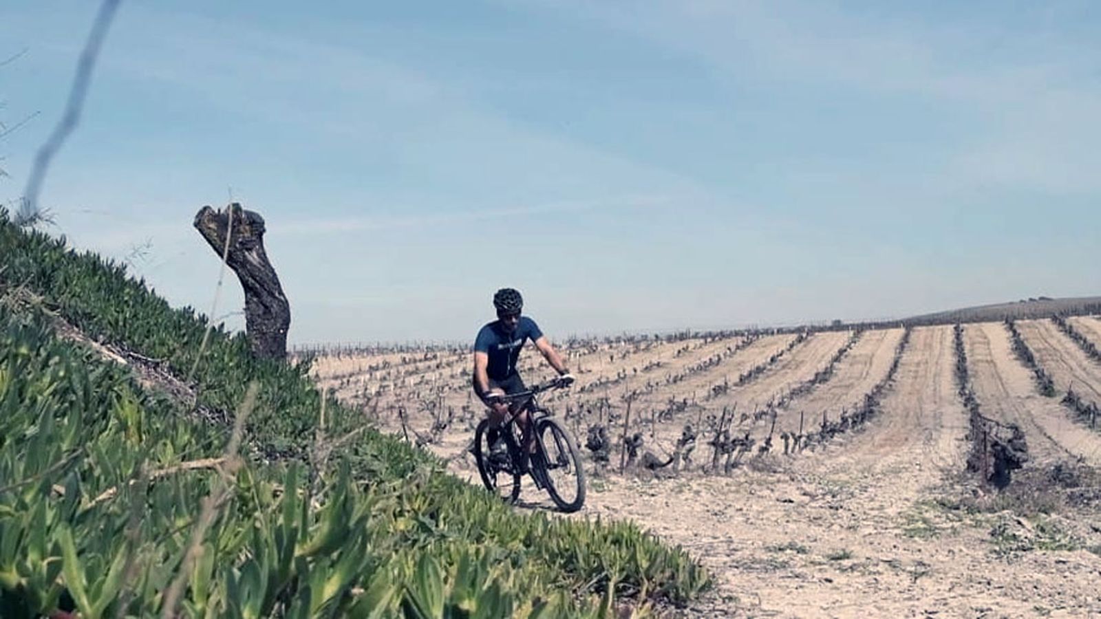 sherry bike