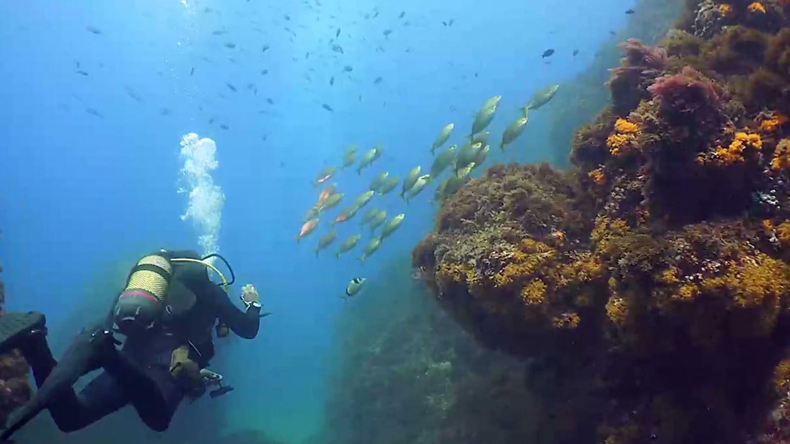 La Herradura, un paraíso con muchas actividades de ocio