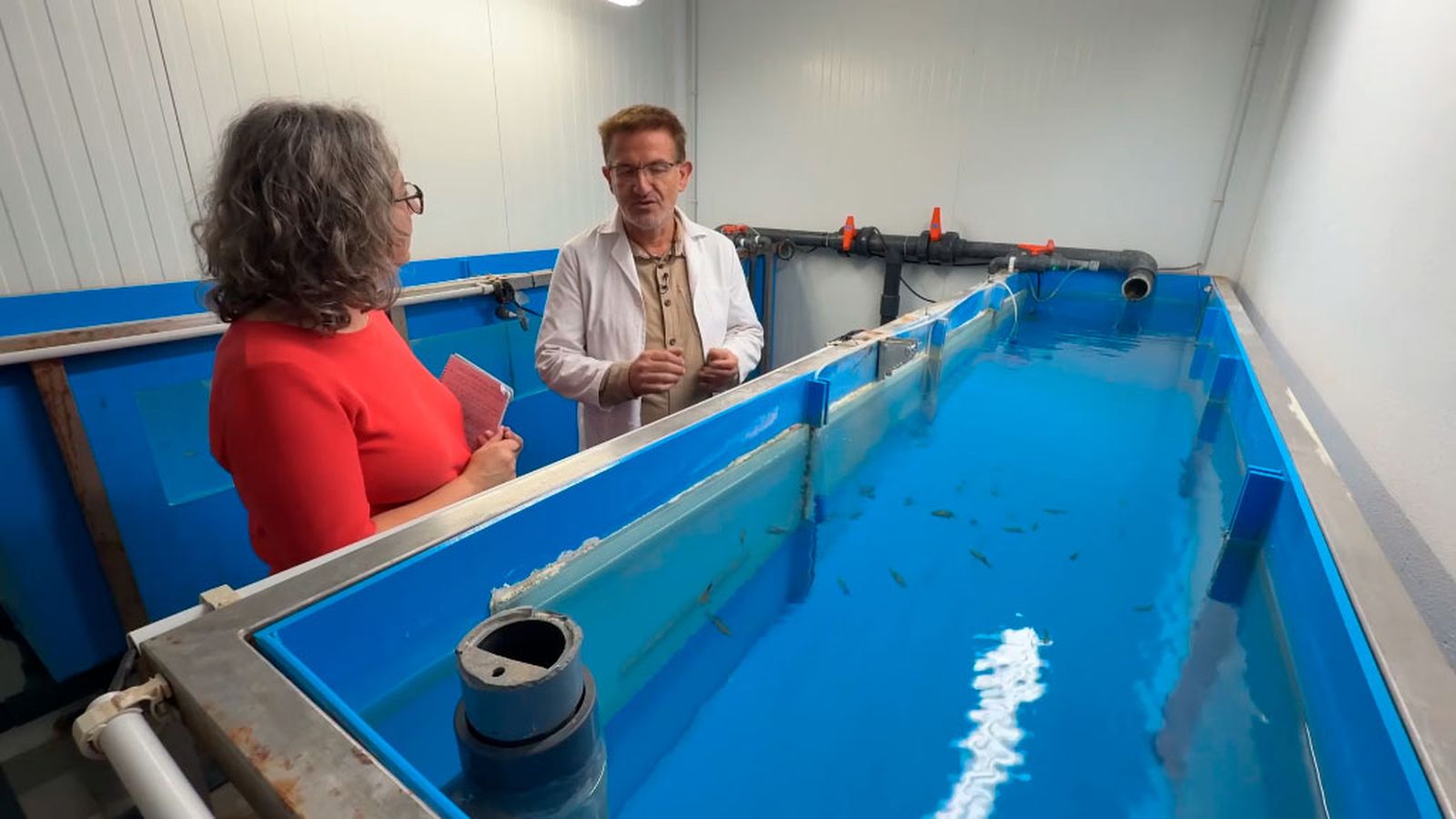 Cómo son los centros dedicados a la cría y conservación de nuestros peces amenazados