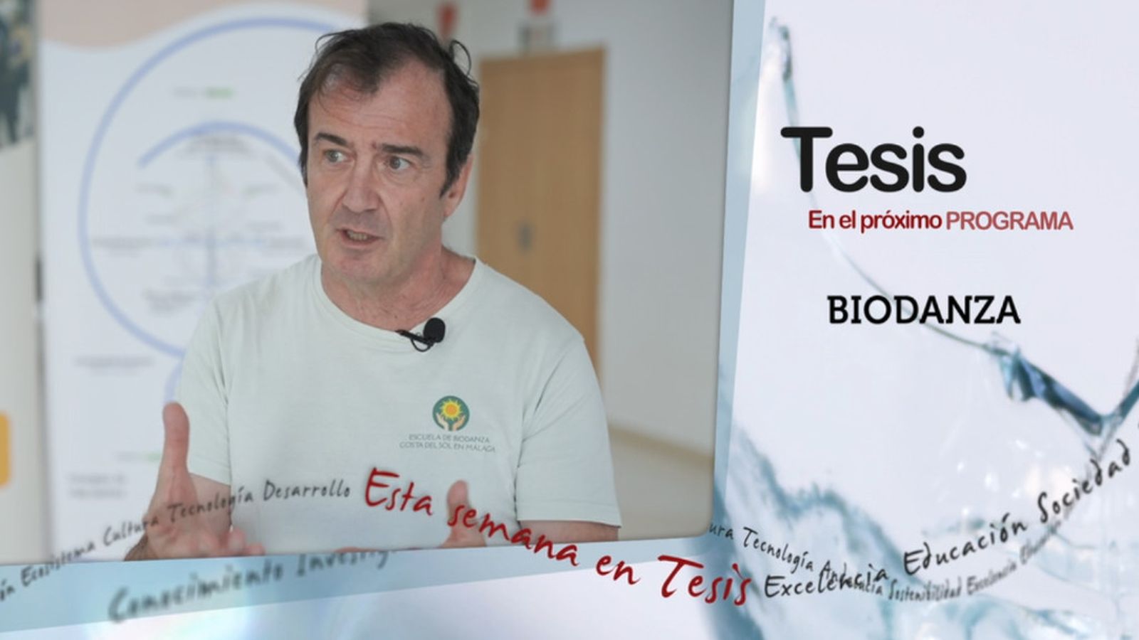 tesis 16 mayo