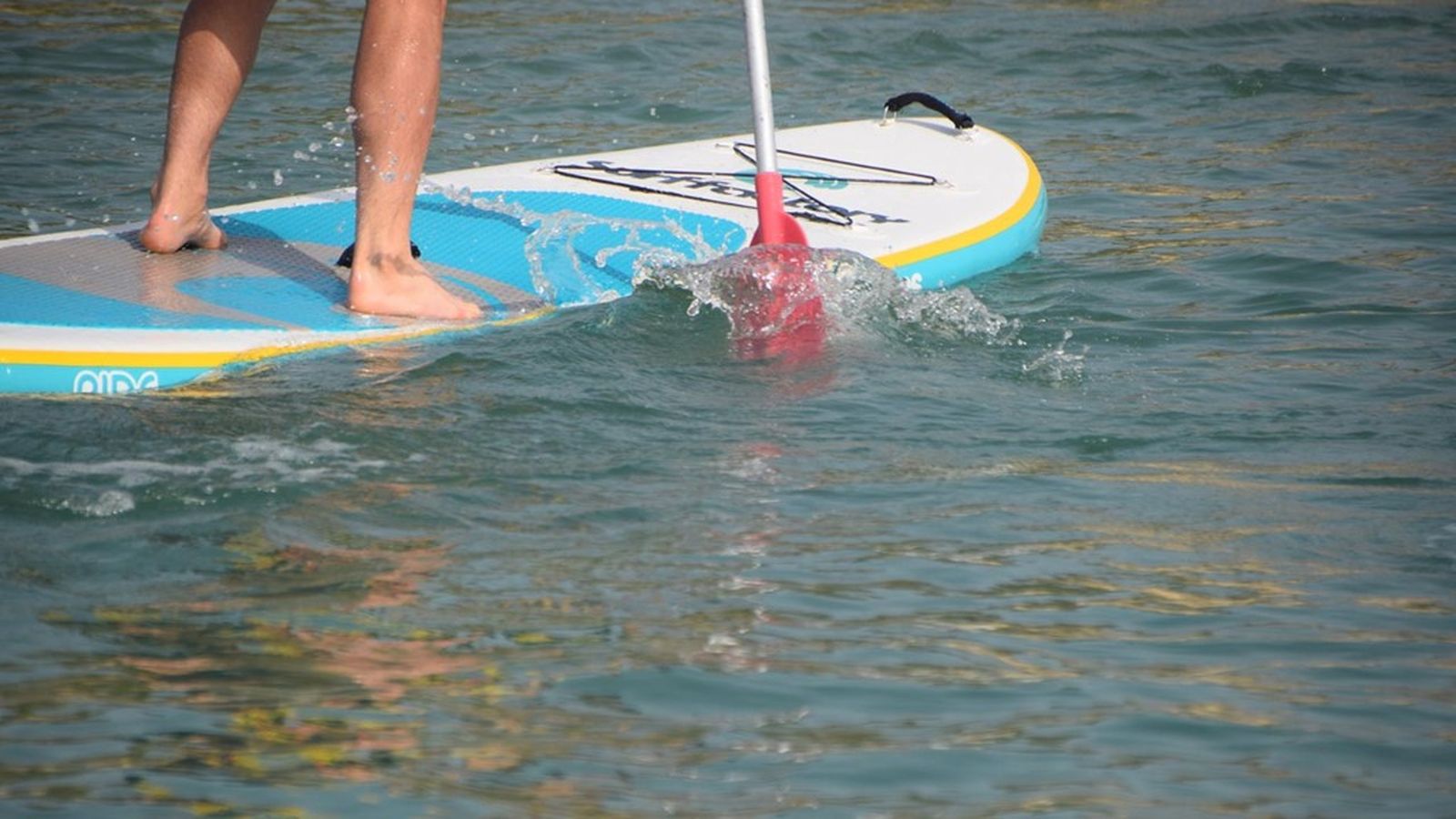 paddel surf empleados