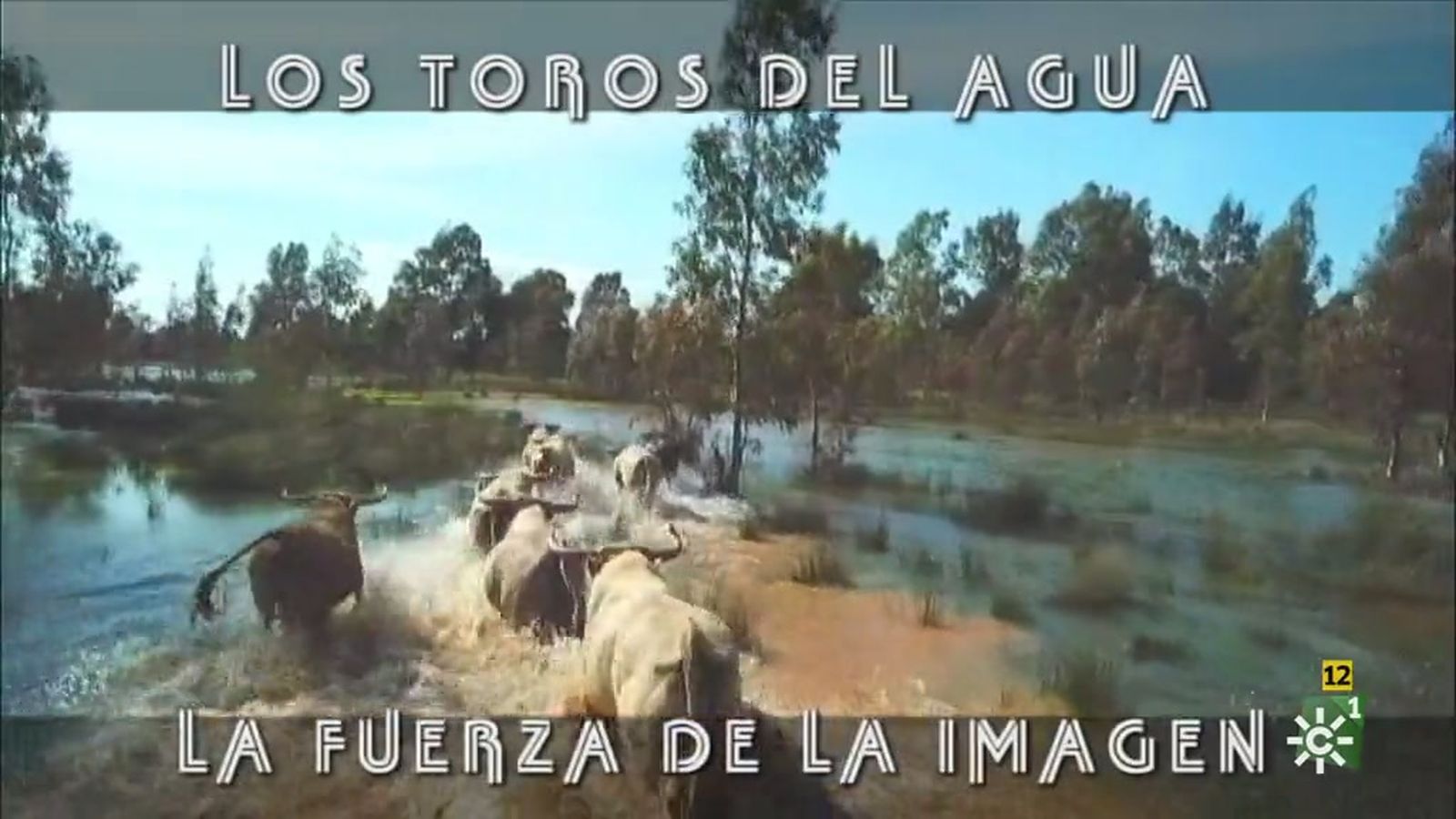 Toros para todos Destacado Dron