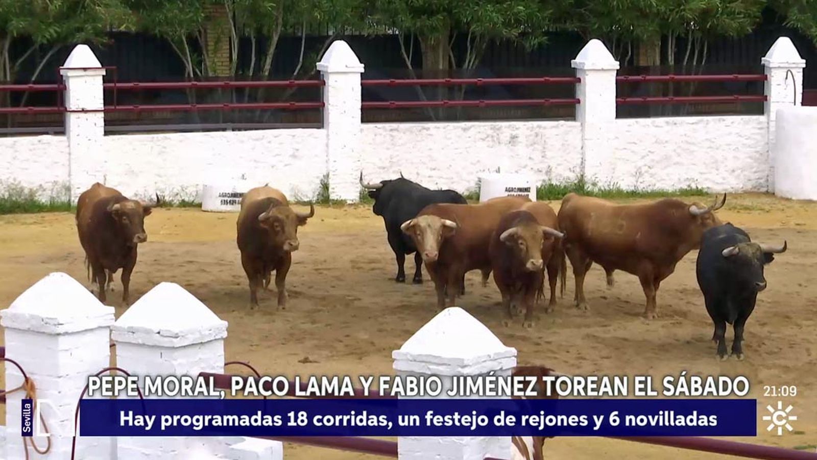 Los toros de la Feria de Sevilla vuelven a la Venta de Antequera