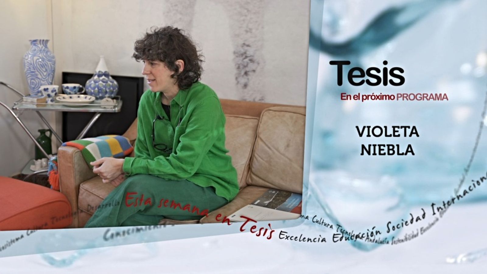 Tesis Violeta Niebla