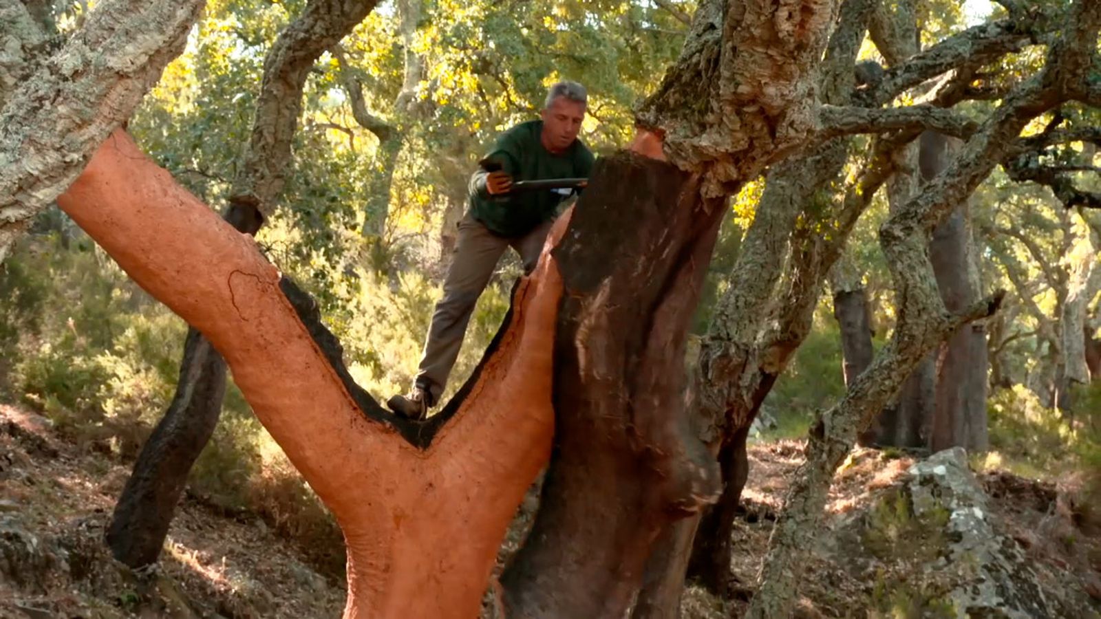Un centenar de paisajes andaluces, protegidos como patrimonio inmaterial
