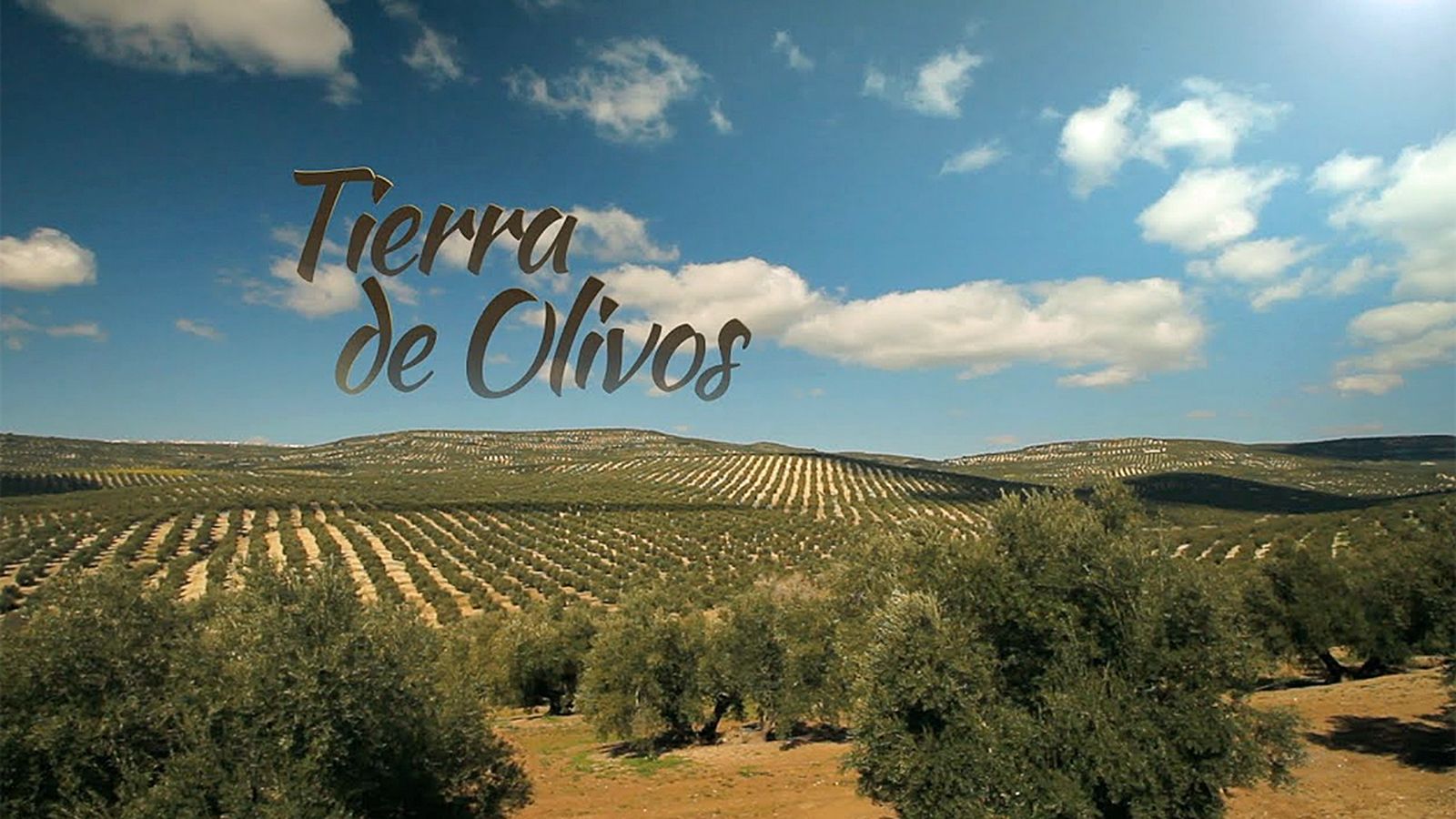 COMUNICACIÓN DOCUMENTAL TIERRA DE OLIVOS