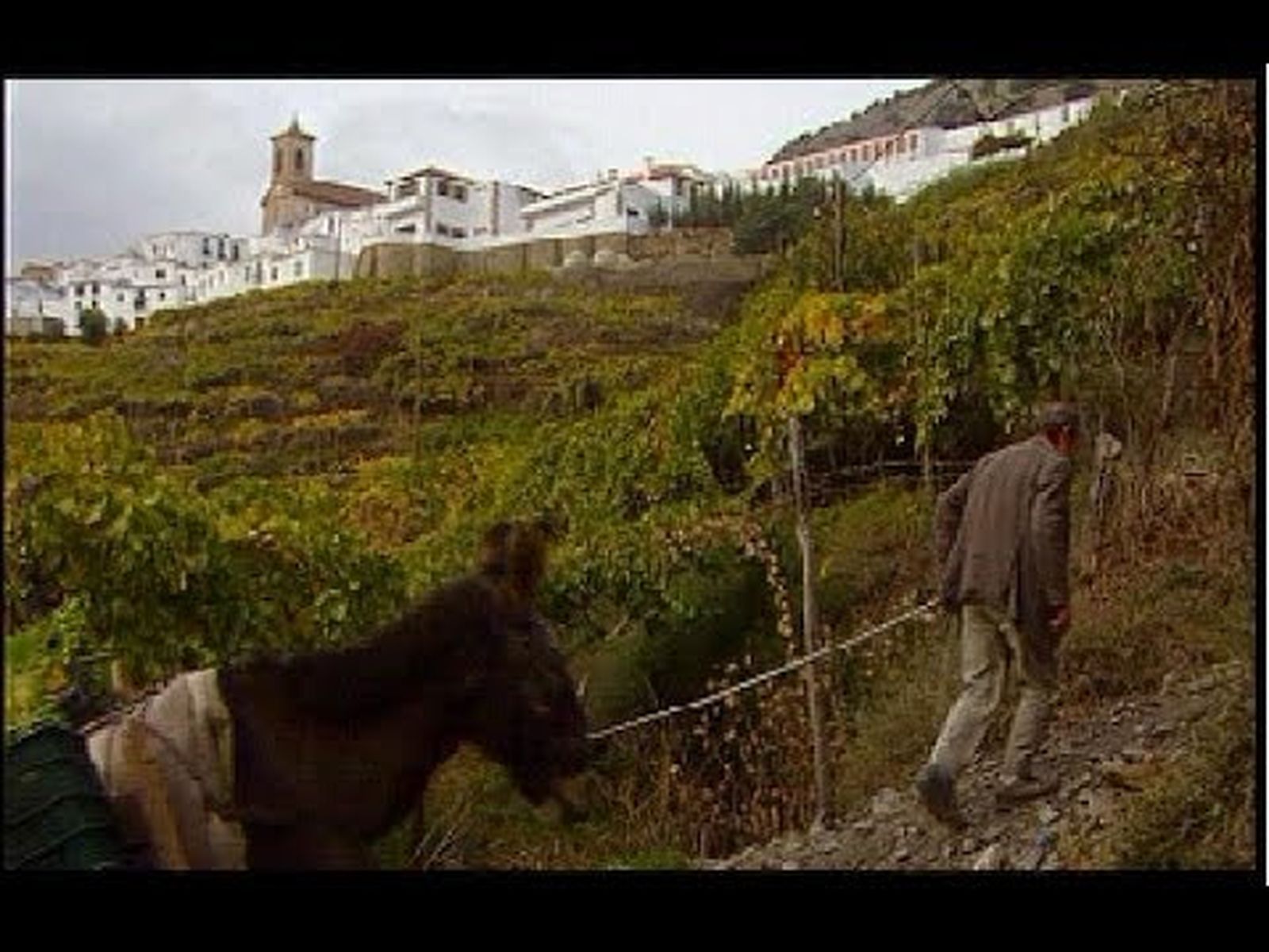 Ohanes, Almería, primer municipio ecológico de Europa (1999)